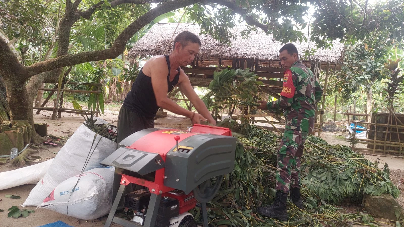 Babinsa Serbelawan Bantu Warga Binaan Dalam Memproduksi Pakan Ternak