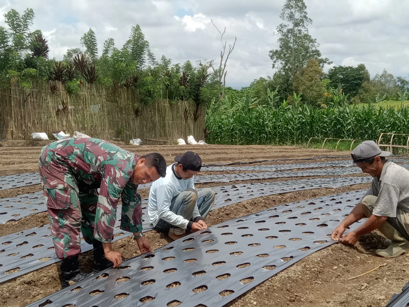 Siapkan Lahan, Babinsa Dampingi Petani Memasang Palstik Mulsa