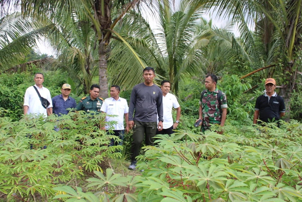 Dandim 0207/Simalungun Tinjau Lokasi Sasaran TMMD Tahun 2024.