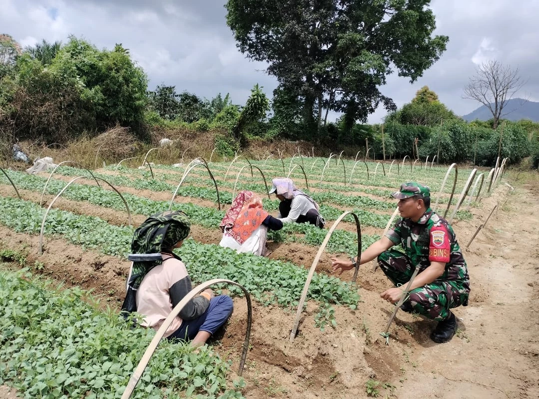 Sukseskan Ketahanan Pangan, Babinsa Komsos dengan Penjual Benih Sayur