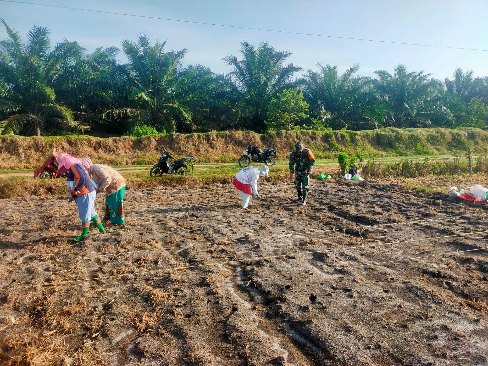 Jaga Ketahanan Pangan, Babinsa  Bantu Warga Tanam Jagung