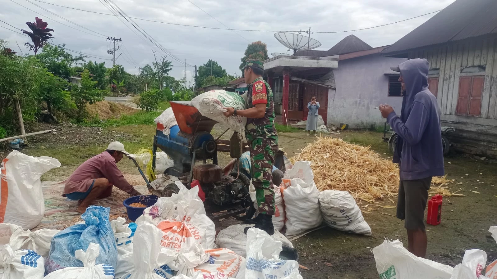 Babinsa Koramil 09 Tiga Balata Membantu Petani Merontokan Jagung