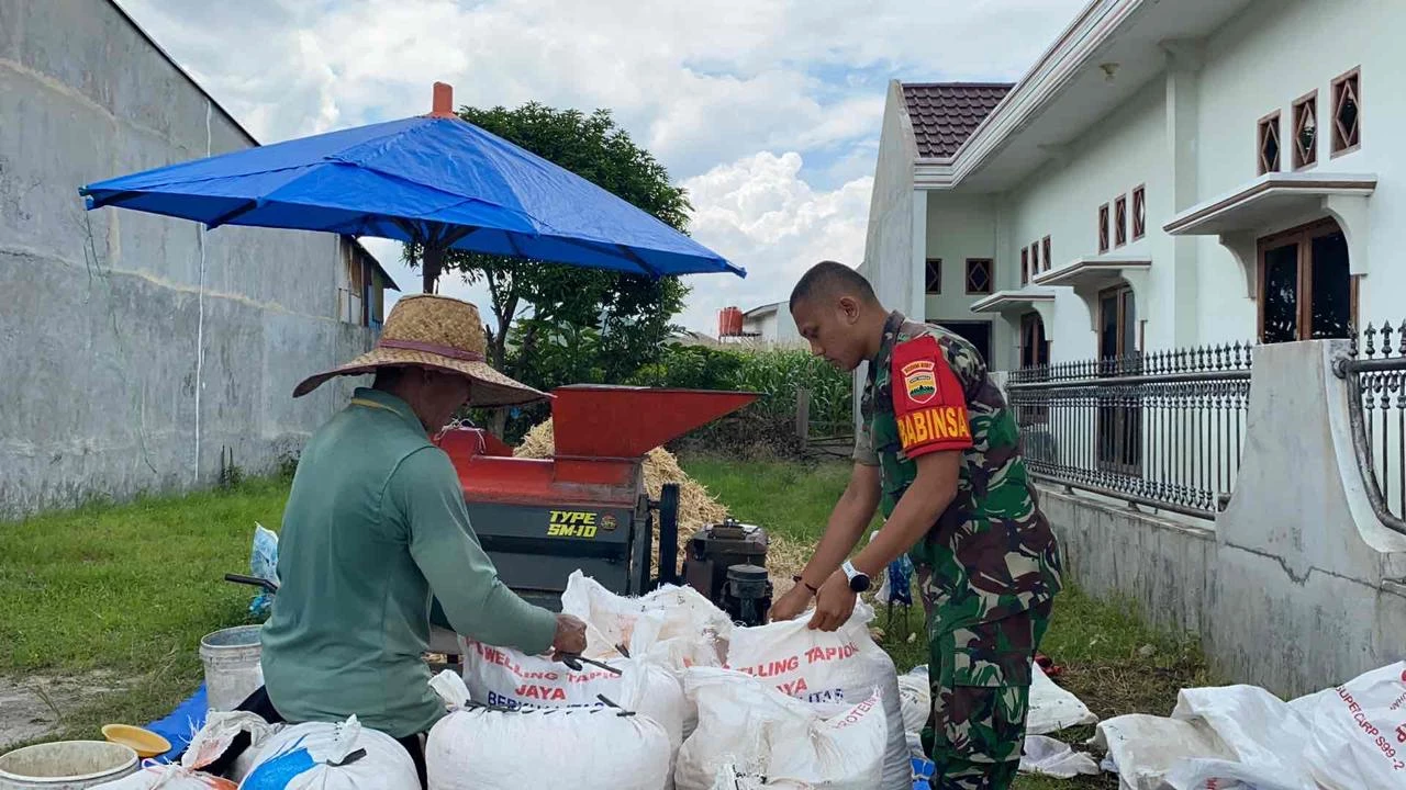 Tingkatkan Swasembada Pangan, Babinsa Bantu Petani Giling Jagung