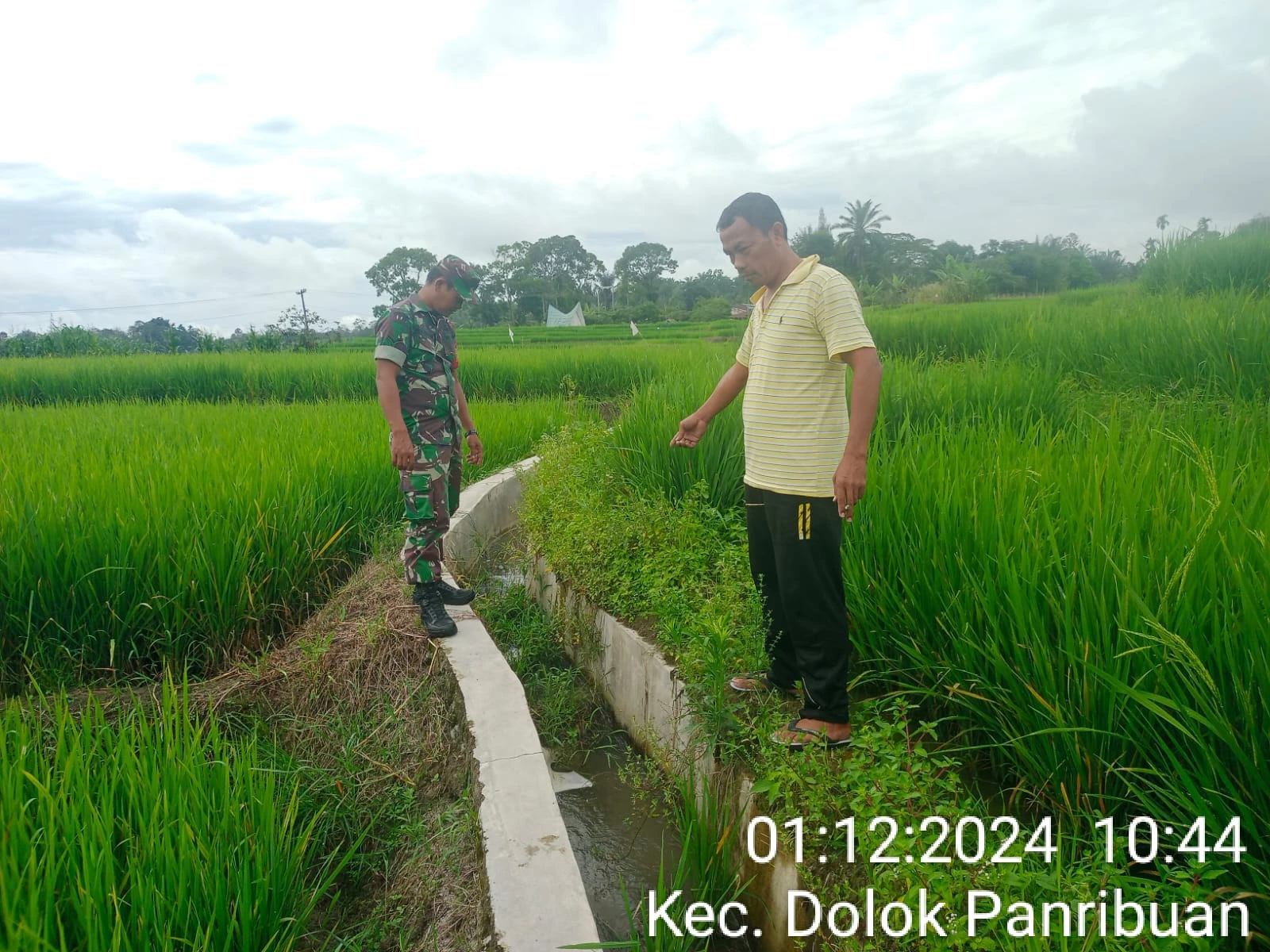 Babinsa Bersama Petani Lakukan Pengecekan Saluran Irigasi yang Mengalami Penyusutan Debit Air untuk Pengairan Persawahan