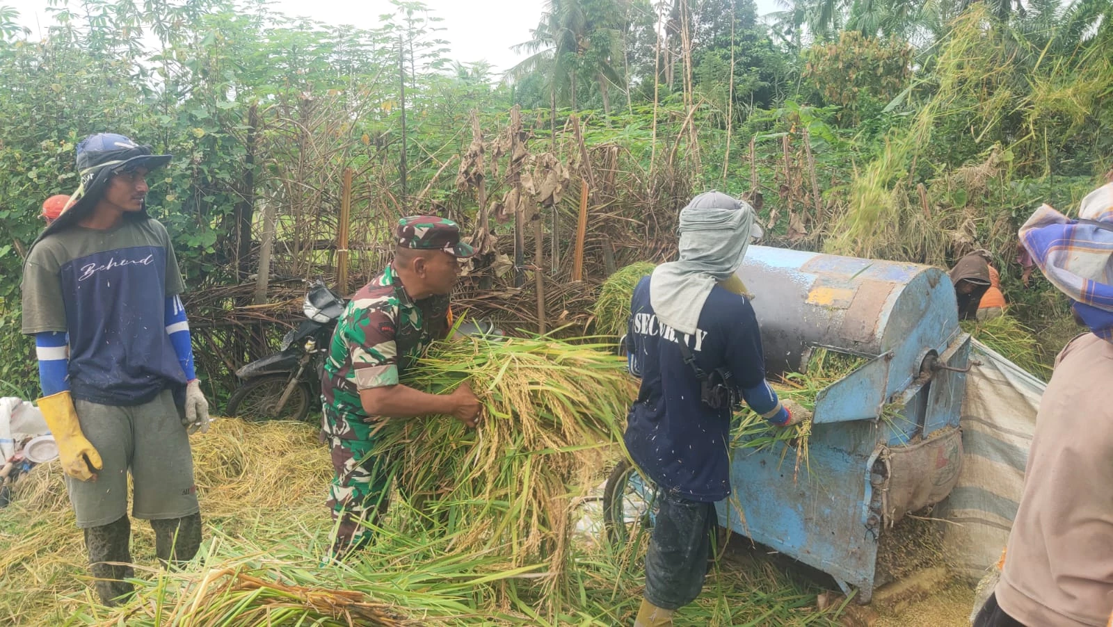 Upaya Ketahanan Pangan, Babinsa Bantu Petani Menggiling Padi