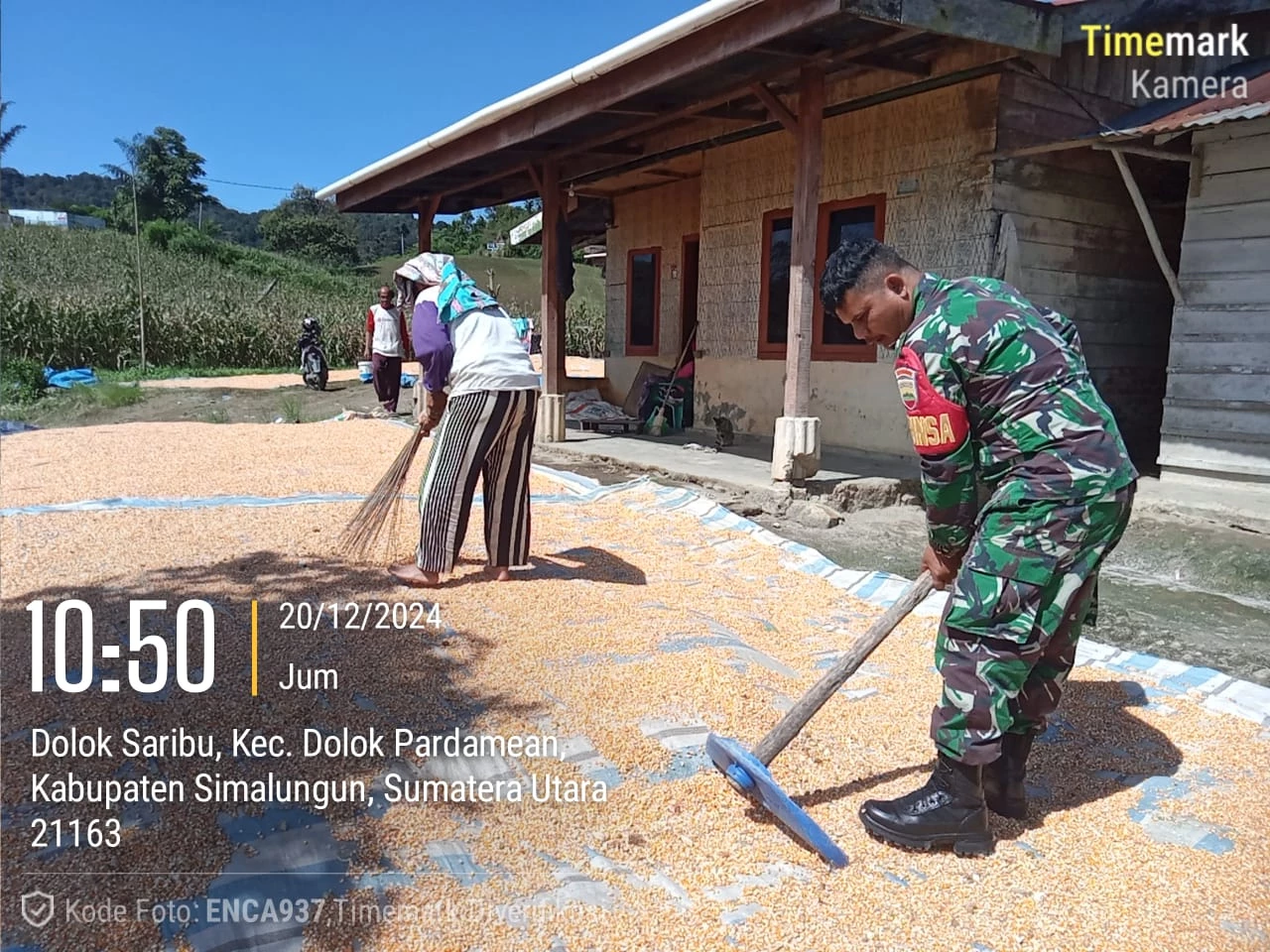 Wujud Pendampingan Ke Petani, Babinsa Bantu Jemur Jagung milik Warga Binaan