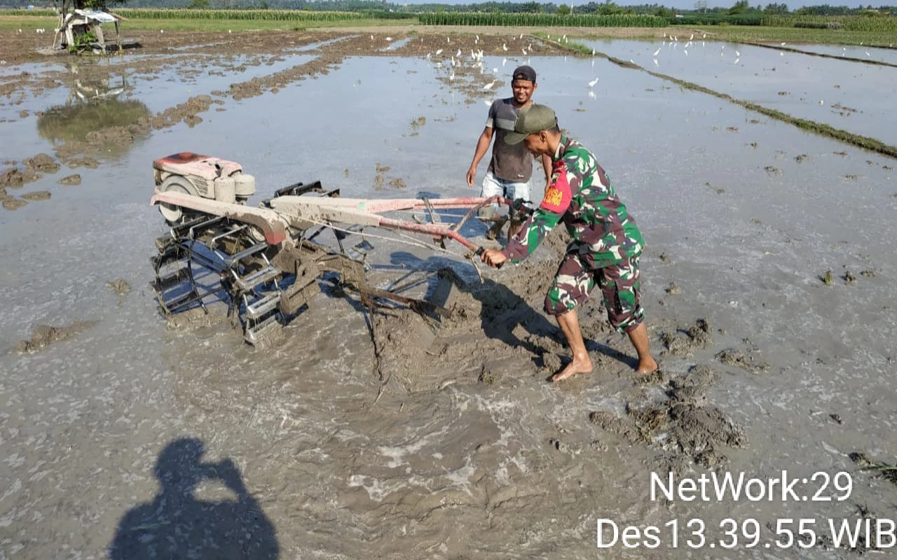 Babinsa Koramil 06/Perdagangan Bantu Pengolahan Lahan di Huta 3 Nagori Purba ganda