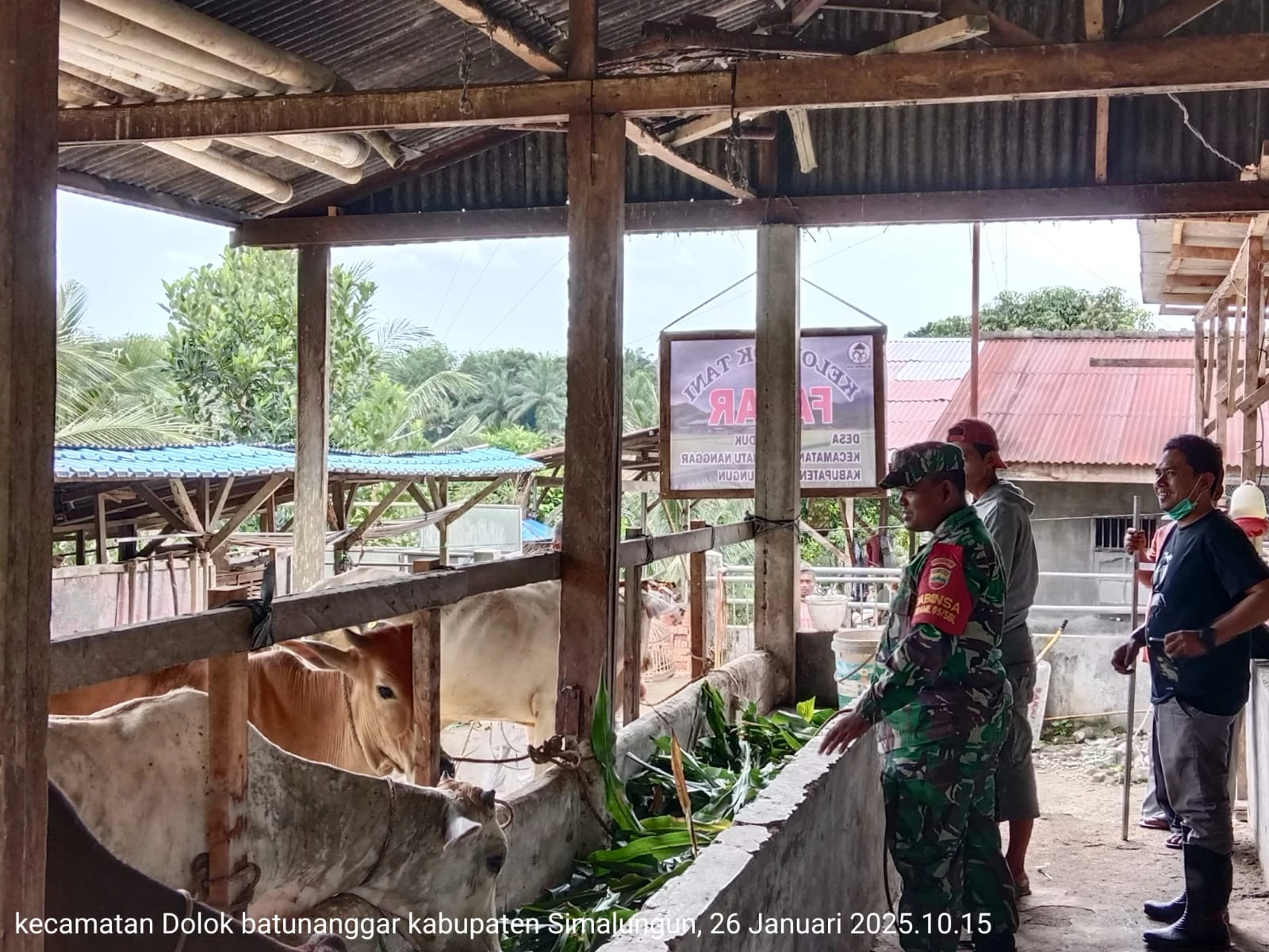 Babinsa mendengarkan langsung keluhan dan kebutuhan para peternak guna mendukung peningkatan hasil peternakan.