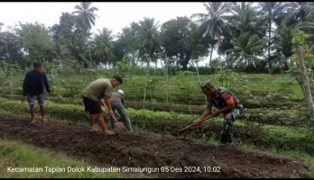 Babinsa Bantu Petani Buat Bentengan untuk Tanam Bibit Sayuran