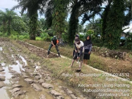 Babinsa Bantu Petani Pembersihan Betengan Sawah untuk Persiapan Tanaman Musim Mendatang