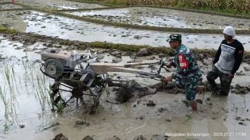 Mempermudah proses pengolahan sawah,Babinsa bersama dengan petani melakukan pembajakan sawah menggunakan Traktor