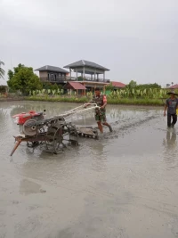 Babinsa Membajak Sawah Bersama Warga Binaannya