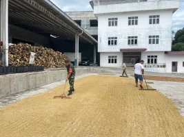 Sambangi Warga Binaan, Babinsa Koramil Koramil 03/Siantar Selatan Bantu Jemur Padi