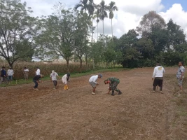 Gunakan Lahan Kosong, Babinsa Bantu Warga Menanam Jagung