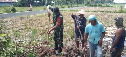 Bergerak Bersama Warga, Babinsa Gotong Royong Timbun Jalan Berlubang