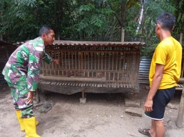 Melalui Komsos Babinsa Sambangi peternak Bebek Dan Ayam