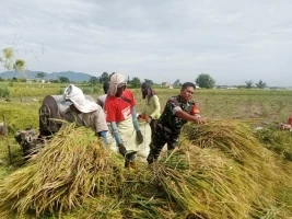 Wujudkan Pendampingan Babinsa Bantu Warga Binaan Giling Padi