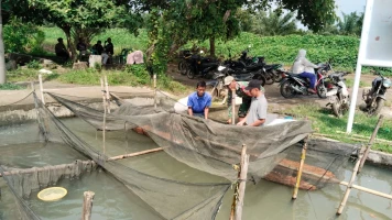 Sambangi Pembudidaya Ikan Mas Babinsa Jalin Komsos