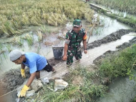 Babinsa Koramil 07/Bosar Maligas Perbaiki Saluran Irigasi Bersama Warga Untuk Sukseskan Pertanian